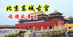 黑鬼内射中国北京-东城古宫旅游风景区