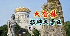 日韩淫逼浪潮av中国浙江-绍兴大香林旅游风景区